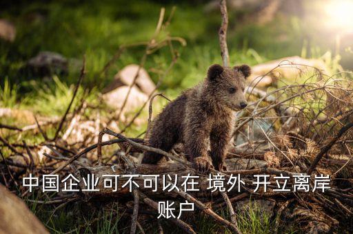 中國(guó)企業(yè)可不可以在 境外 開立離岸賬戶