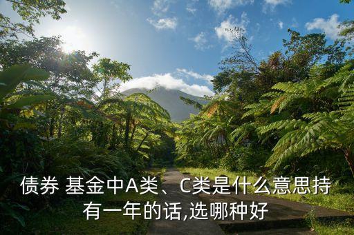 債券 基金中A類、C類是什么意思持有一年的話,選哪種好