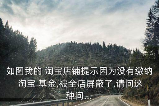 如圖我的 淘寶店鋪提示因?yàn)闆]有繳納 淘寶 基金,被全店屏蔽了,請(qǐng)問這種問...