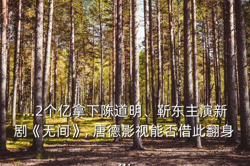 ...2個億拿下陳道明、靳東主演新劇《無間》, 唐德影視能否借此翻身...