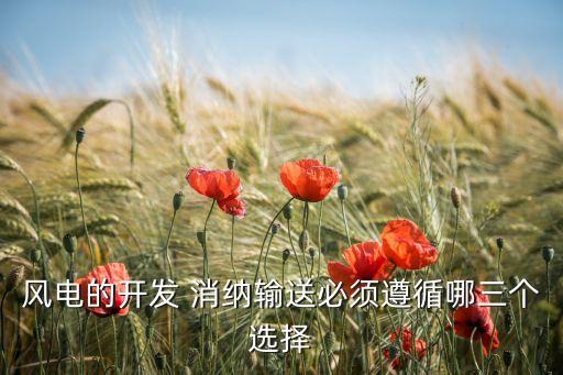 上海電網消納,電網對新能源消納能力