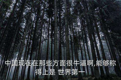 中國(guó)現(xiàn)在在那些方面很牛逼啊,能夠稱得上是 世界第一