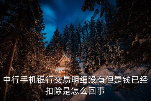 中行手機(jī)銀行交易明細(xì)沒(méi)有但是錢已經(jīng)扣除是怎么回事