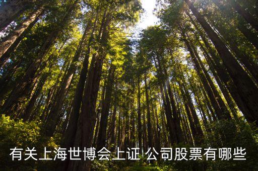萬業(yè)企業(yè)到底收購(gòu)什么公司