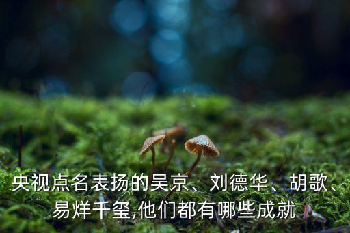 央視點名表揚的吳京、劉德華、胡歌、易烊千璽,他們都有哪些成就