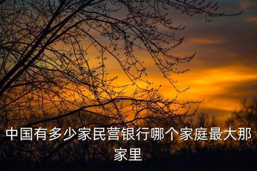 中國有多少家民營銀行哪個家庭最大那家里