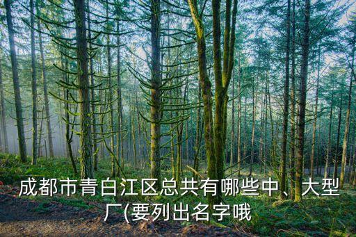 成都市青白江區(qū)總共有哪些中、大型廠(要列出名字哦