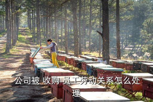  公司被 收購(gòu) 員工勞動(dòng)關(guān)系怎么處理