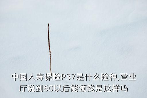 中國人壽保險P37是什么險種,營業(yè)廳說到60以后能領(lǐng)錢是這樣嗎