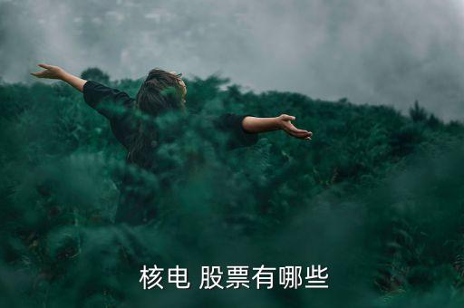 核電三巨頭股票,中國核電股票可以長(zhǎng)期持有嗎