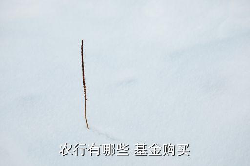 農(nóng)行有哪些 基金購(gòu)買(mǎi)