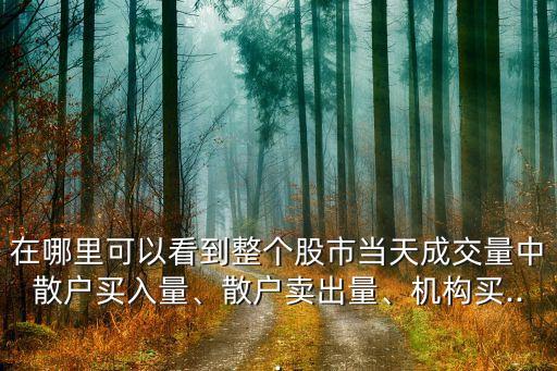 在哪里可以看到整個(gè)股市當(dāng)天成交量中散戶買(mǎi)入量、散戶賣(mài)出量、機(jī)構(gòu)買(mǎi)...