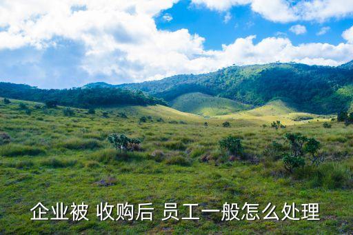 企業(yè)被 收購(gòu)后 員工一般怎么處理