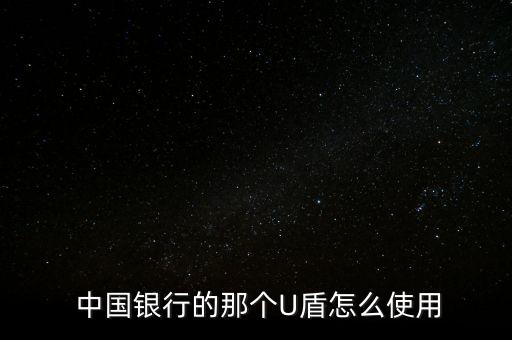  中國銀行的那個(gè)U盾怎么使用