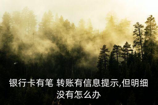 銀行卡有筆 轉(zhuǎn)賬有信息提示,但明細(xì)沒(méi)有怎么辦