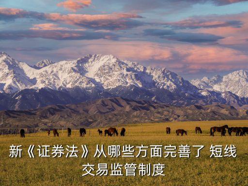 2013年上市公司股東十大違規(guī)短線(xiàn)交易