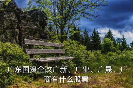  廣東國(guó)資企改廣新、廣業(yè)、廣晟、廣商有什么股票