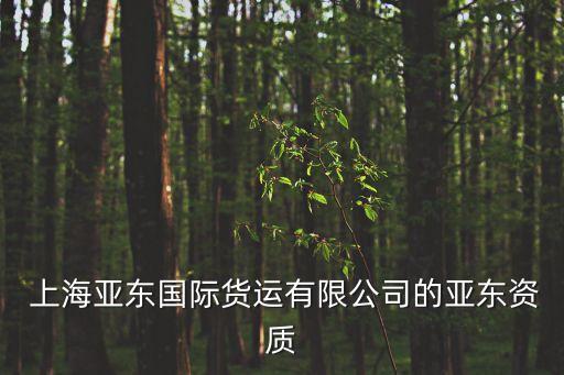  上海亞東國際貨運有限公司的亞東資質(zhì)