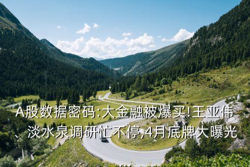 A股數(shù)據(jù)密碼:大金融被爆買!王亞偉、淡水泉調研忙不停,4月底牌大曝光...