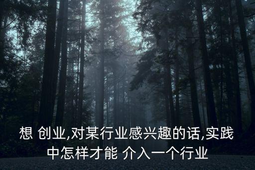 想 創(chuàng)業(yè),對某行業(yè)感興趣的話,實踐中怎樣才能 介入一個行業(yè)