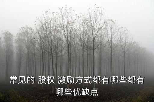 常見的 股權(quán) 激勵方式都有哪些都有哪些優(yōu)缺點