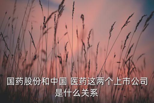 國藥股份和中國 醫(yī)藥這兩個上市公司是什么關系