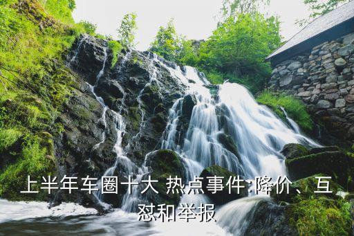 上半年車圈十大 熱點事件:降價、互懟和舉報