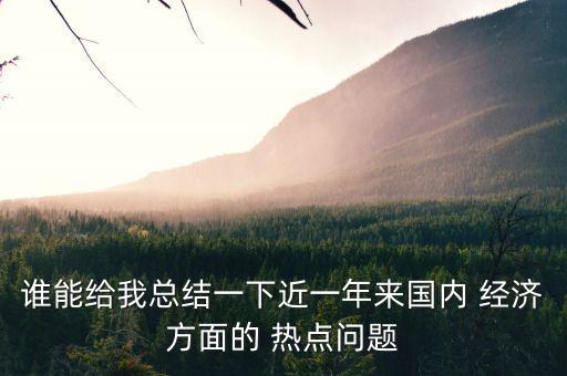 誰能給我總結一下近一年來國內 經濟方面的 熱點問題