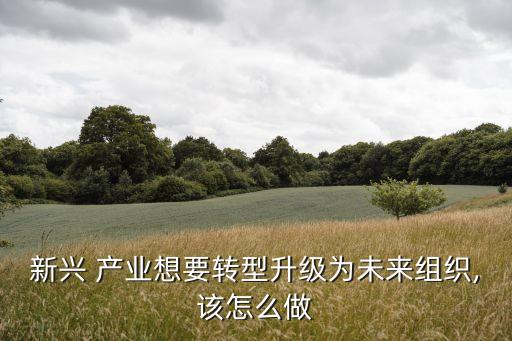 新興 產(chǎn)業(yè)想要轉(zhuǎn)型升級(jí)為未來(lái)組織,該怎么做