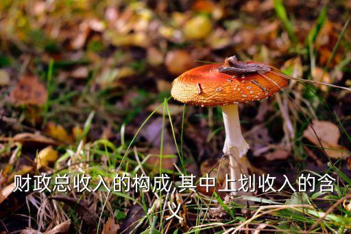 財政總收入的構成,其中上劃收入的含義