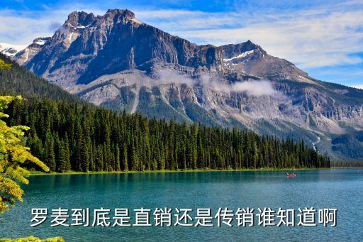  羅麥到底是直銷(xiāo)還是傳銷(xiāo)誰(shuí)知道啊