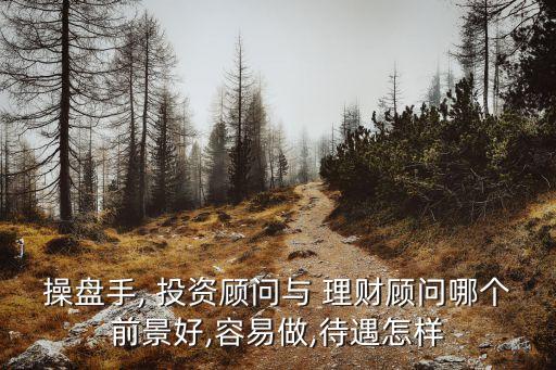 操盤(pán)手, 投資顧問(wèn)與 理財(cái)顧問(wèn)哪個(gè)前景好,容易做,待遇怎樣