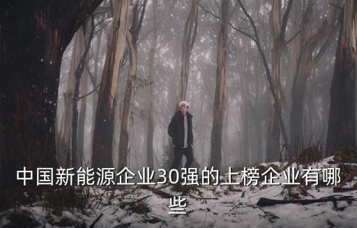 中國新能源企業(yè)30強(qiáng)的上榜企業(yè)有哪些