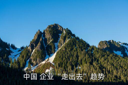中國 企業(yè)“走出去”趨勢(shì)