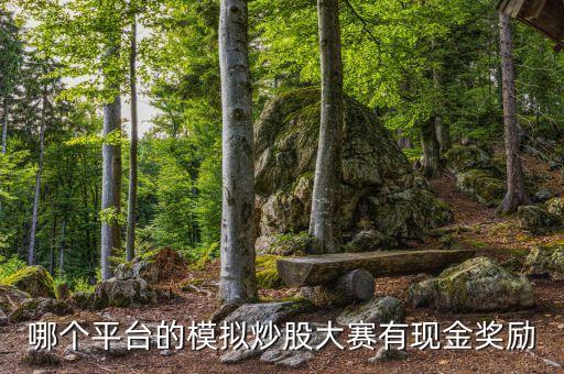 哪個(gè)平臺的模擬炒股大賽有現(xiàn)金獎(jiǎng)勵(lì)