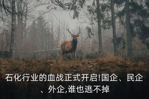 石化行業(yè)的血戰(zhàn)正式開(kāi)啟!國(guó)企、民企、外企,誰(shuí)也逃不掉