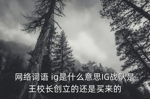 ig集團(tuán)開戶,集團(tuán)開戶的手機號