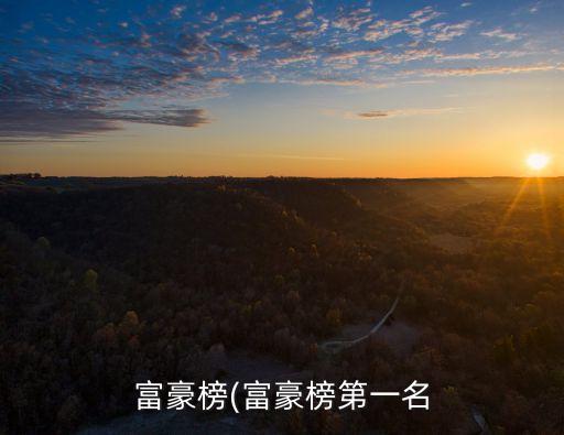 中國財富榜前100