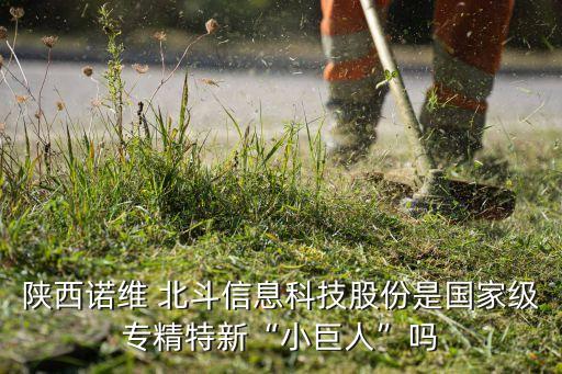 陜西諾維 北斗信息科技股份是國(guó)家級(jí)專(zhuān)精特新“小巨人”嗎