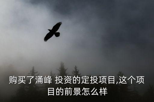 購(gòu)買(mǎi)了涌峰 投資的定投項(xiàng)目,這個(gè)項(xiàng)目的前景怎么樣