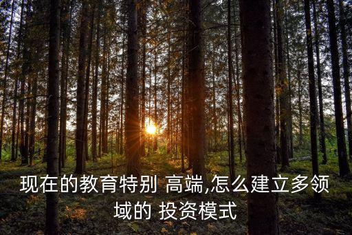 現(xiàn)在的教育特別 高端,怎么建立多領域的 投資模式