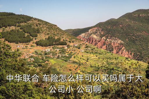 中華聯(lián)合 車險(xiǎn)怎么樣可以買(mǎi)嗎屬于大 公司小 公司啊