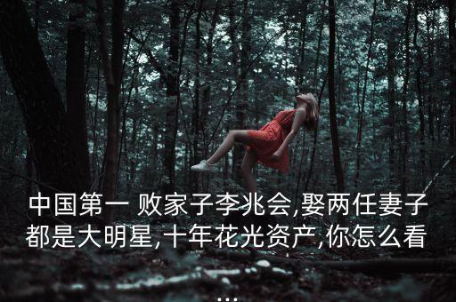 中國最有名的敗家子,你是全縣最有名的敗家子小說