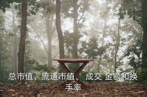 總市值、流通市值、 成交 金額和換手率