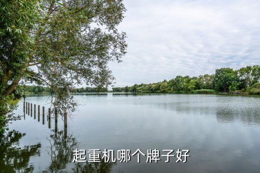 天橋起重中國馳名商標
