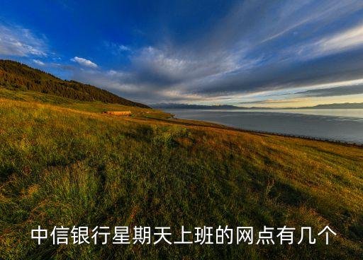  中信銀行星期天上班的網(wǎng)點(diǎn)有幾個
