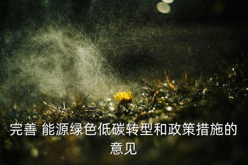 完善 能源綠色低碳轉型和政策措施的意見