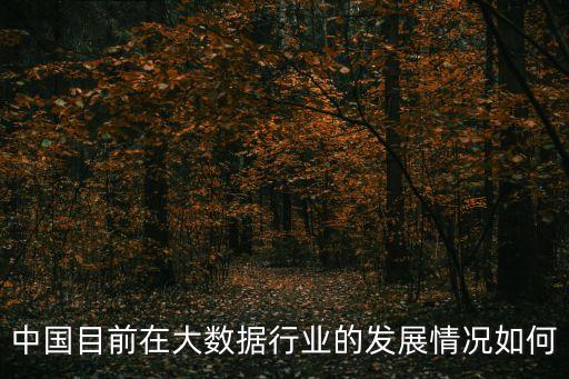 全球網(wǎng)民與未來國(guó)際投資潮
