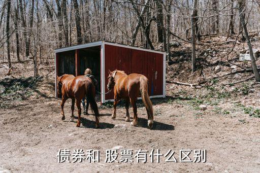 股票與債券關系,股票和債券哪個風險大