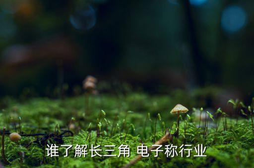 誰(shuí)了解長(zhǎng)三角 電子稱(chēng)行業(yè)